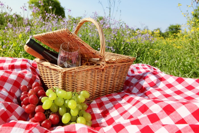 Picnic basket with grapes and wine in a field