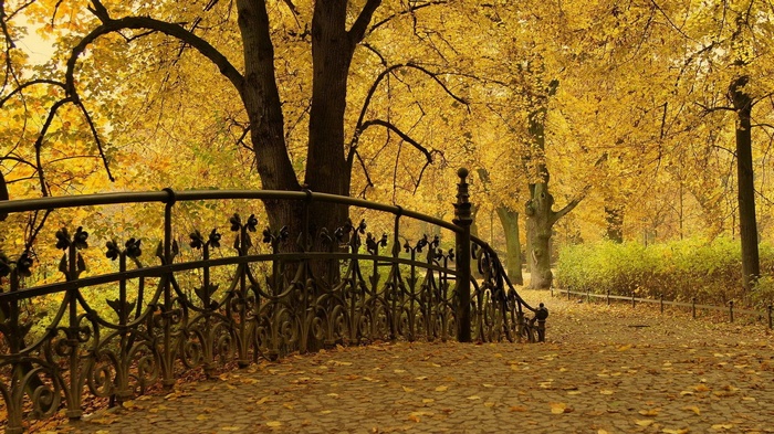 Autumn park with a bridge and fallen leaves