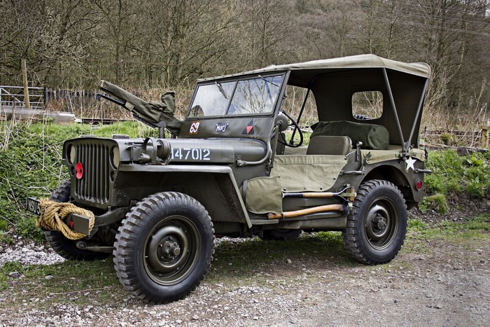 Willys MB military jeep with poppy