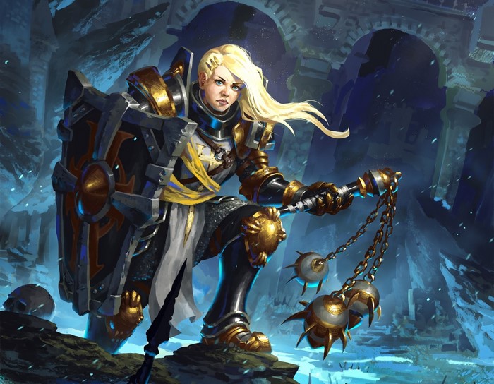 Female warrior with shield and flail from Diablo III