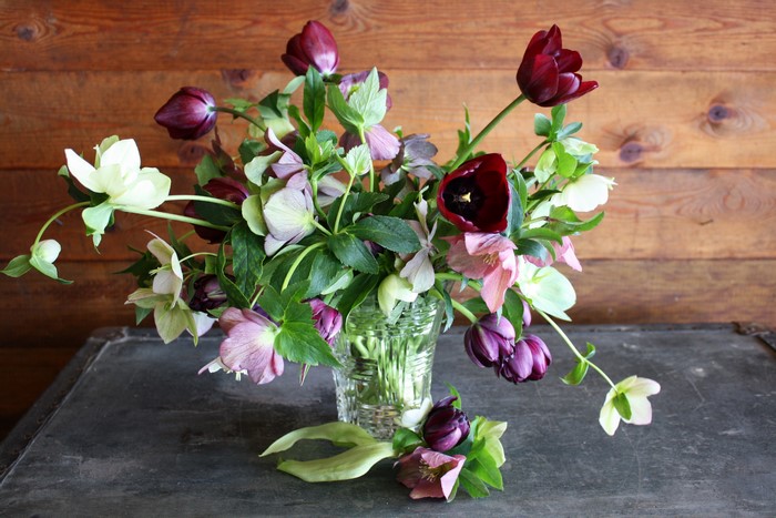 Bouquet of Tulips and Hellebores in a Vase