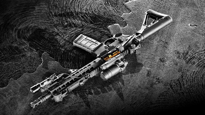 AR-15 Style Rifle with Accessories