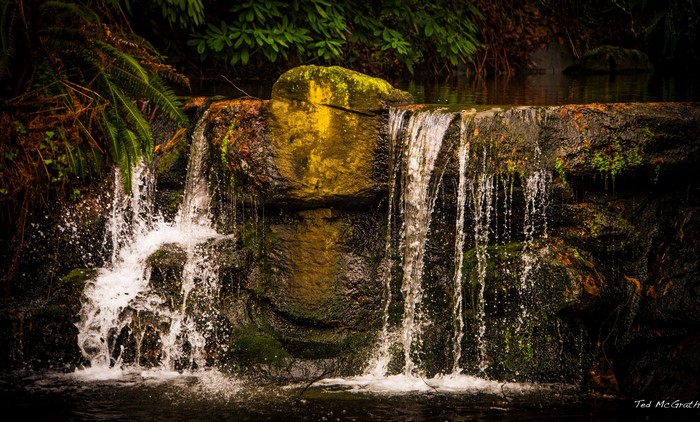 Waterfall in Stanley Park, Vancouver, Canada