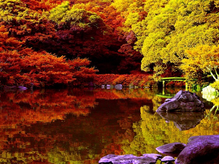 Autumn park with a pond and colorful trees