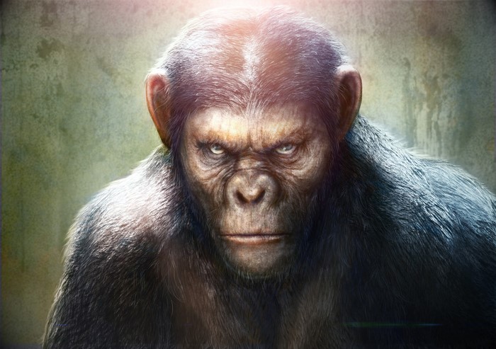 Caesar from Rise of the Planet of the Apes