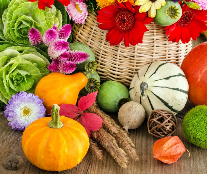 Autumn harvest arrangement with pumpkins and flowers