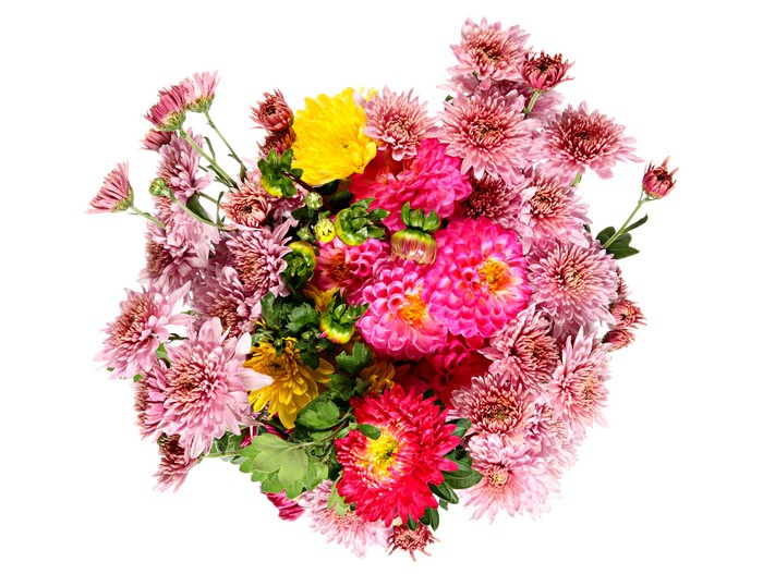 4K Dahlias and Chrysanthemums bouquet