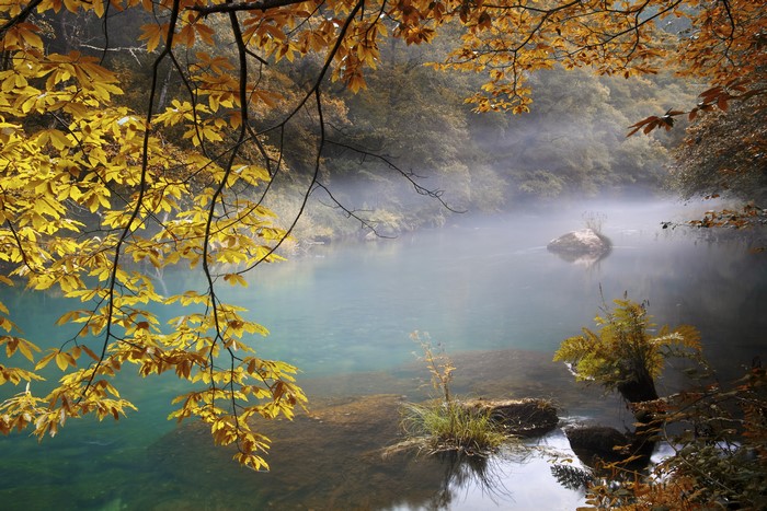 Autumn leaves over a misty lake