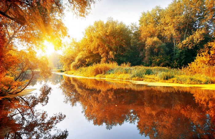Autumn river with sunlit trees and reflections