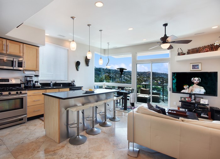 Modern kitchen and living area with scenic view