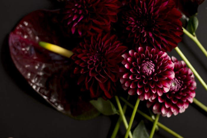 Dark Red Dahlias and Anthurium Flower Arrangement