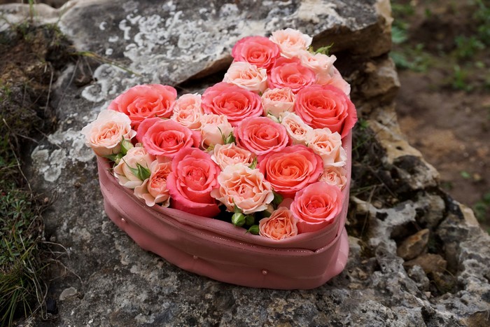 Heart-shaped box of pink and coral roses
