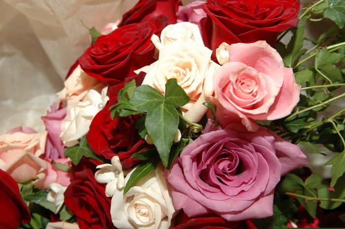 Bouquet of Roses and Ivy