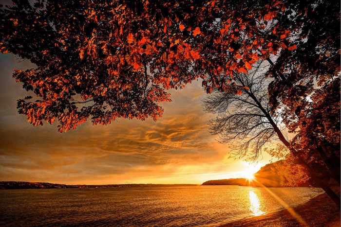 Autumn sunset over a lake with trees