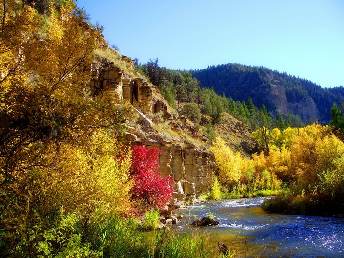 Autumn river flowing through a mountain canyon with colorful trees