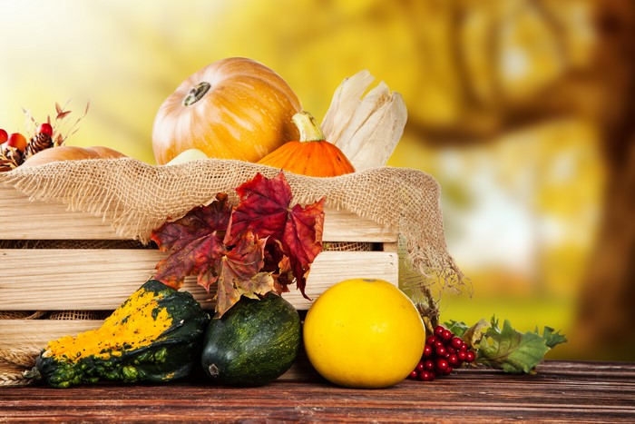 Autumn harvest of pumpkins and gourds in a wooden crate