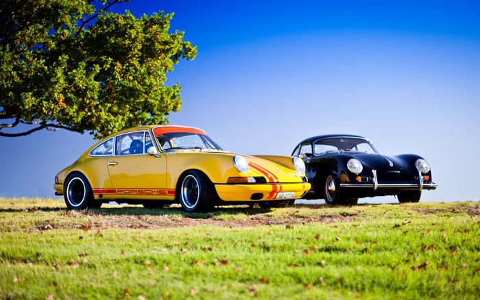 Two vintage Porsche cars parked on a grassy hill