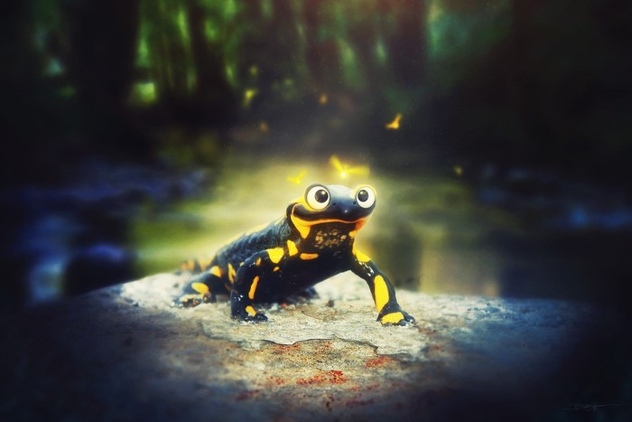 A cartoonish fire salamander in a forest