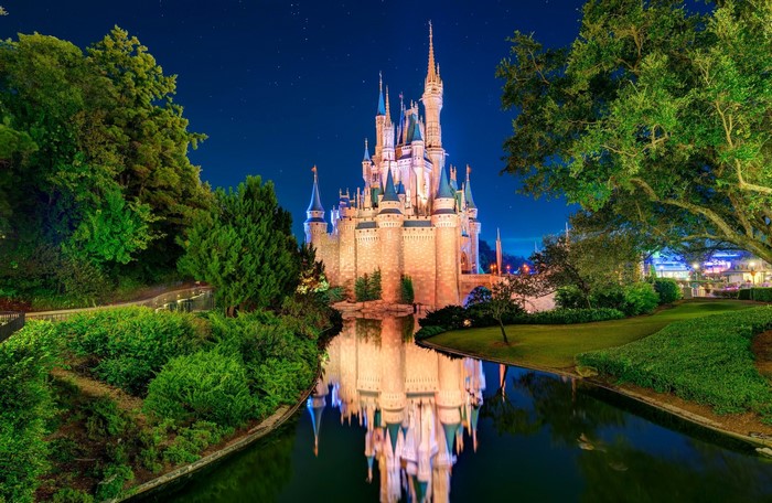 Cinderella Castle at Night with Reflection