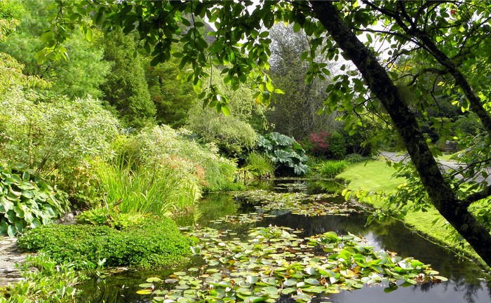 Attadale Gardens Strathcarron Scotland Pond