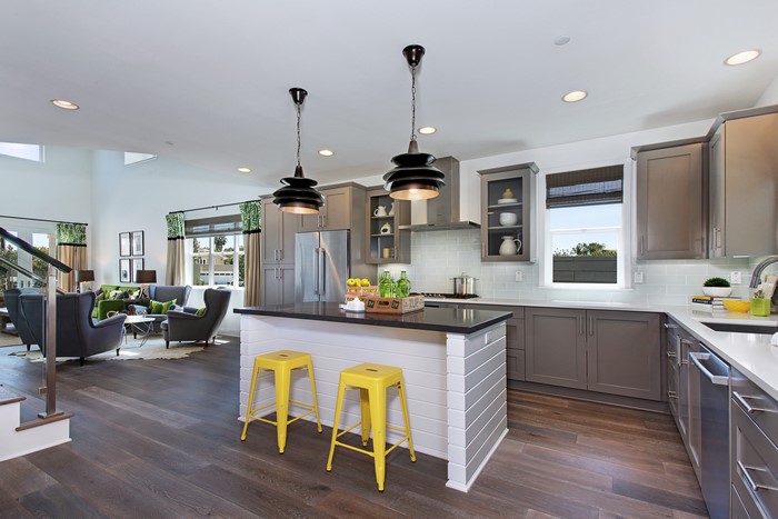 Modern kitchen with island and living area
