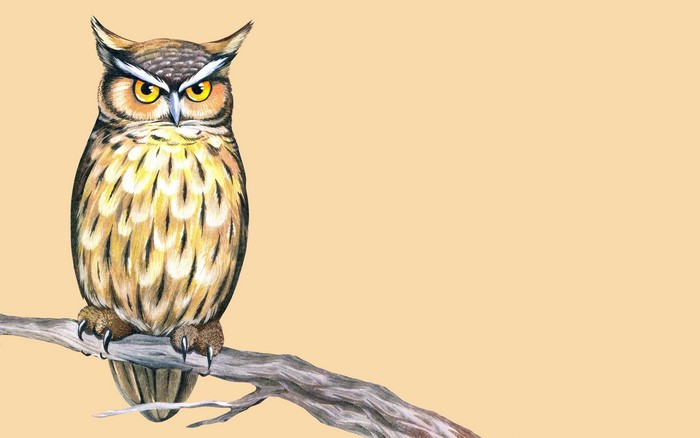 Painting of an owl perched on a branch