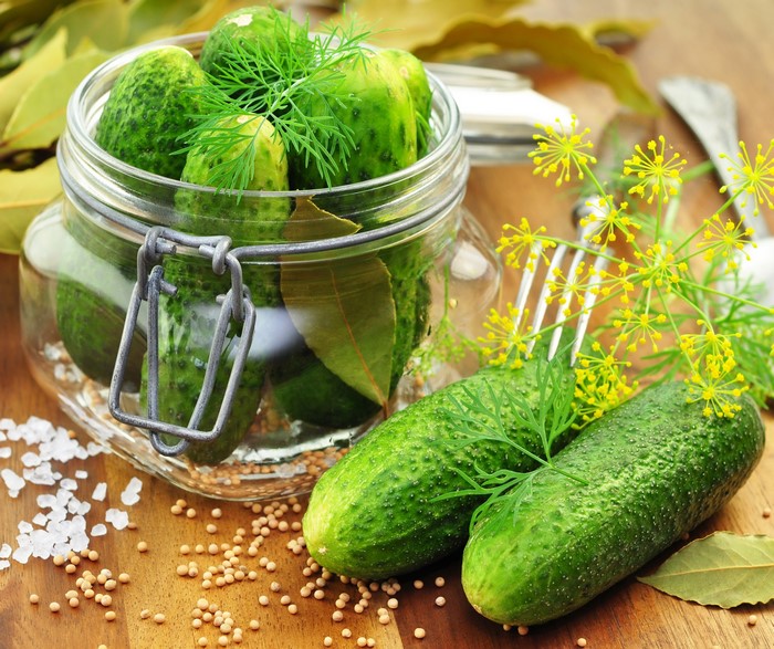 Pickles in a jar with dill and spices