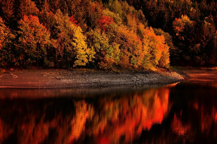 Autumn forest reflected in a calm lake