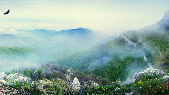 Misty Mountains Scenery with Eagle