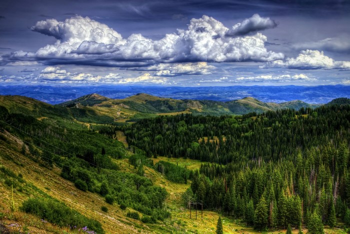 Mountains and Forests in Utah, USA