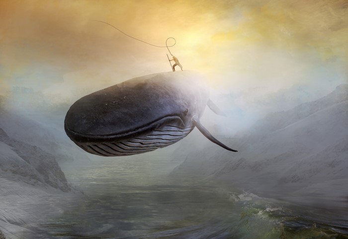 Man riding a whale in a fantasy landscape
