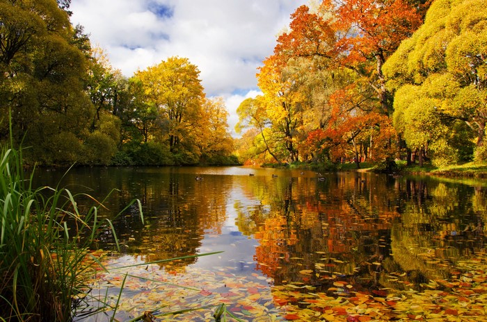 Autumn park with a lake in St. Petersburg, Russia