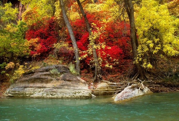Autumn river with colorful trees and rocks