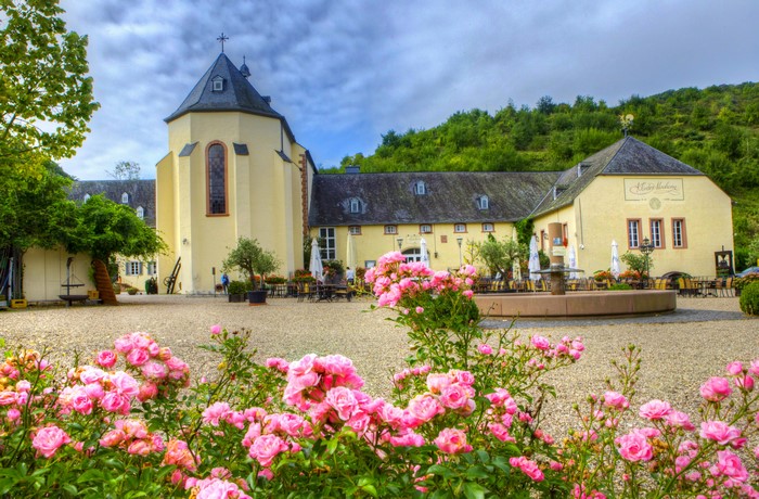 Monastery with pink roses in Bernkastel-Kues, Germany