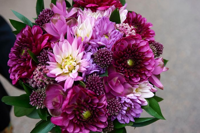 Purple and pink dahlia and chrysanthemum bouquet
