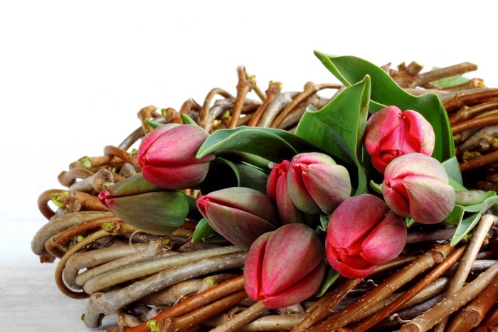 Red Tulips in a Twig Arrangement