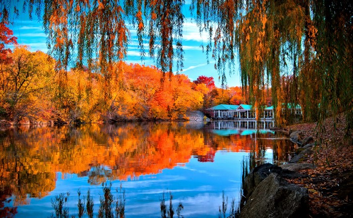 Autumn lake with colorful trees and a building