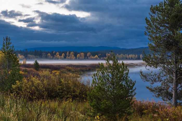 Misty Lake and Autumn Trees in Grand Teton, Wyoming