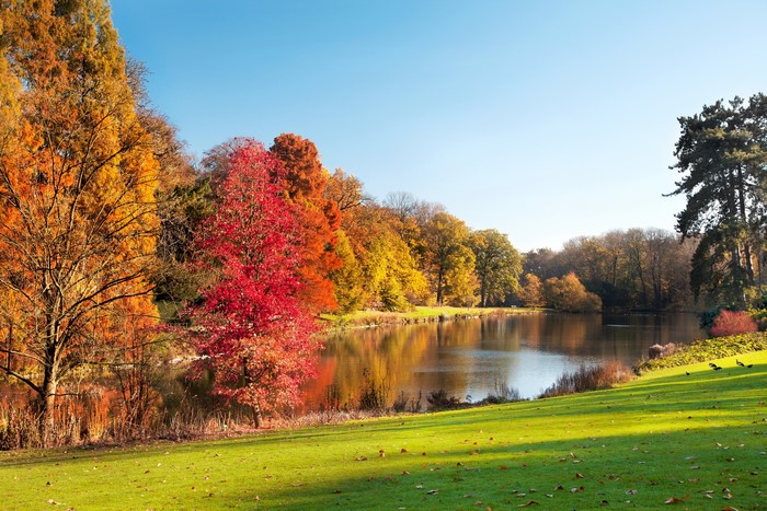 Autumn park with a lake and colorful trees