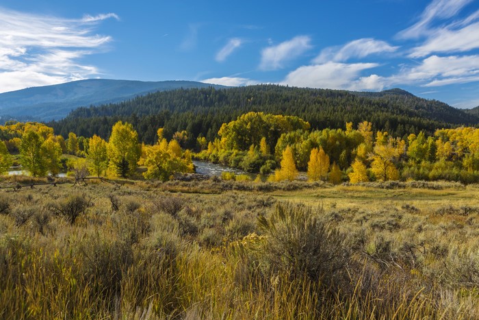 Autumn Scenery in Grand Teton Wyoming USA