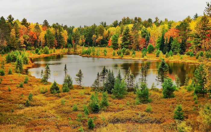 Autumn lake surrounded by colorful forests