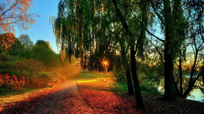 Path through a park with trees and sunlight