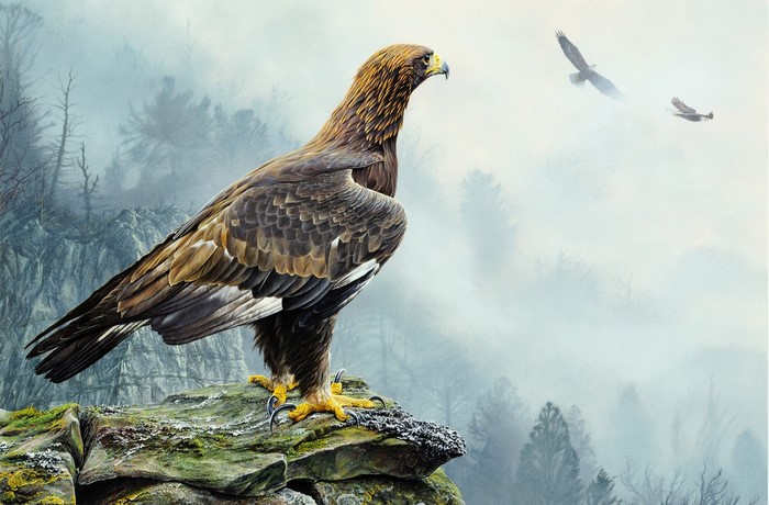 Golden Eagle perched on a rock with birds flying in the background