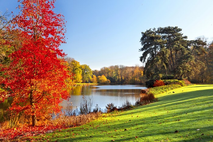 Autumn park with lake and trees