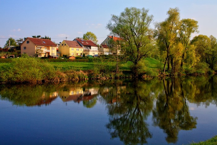 Houses and trees reflected in a river in Ulm, Germany