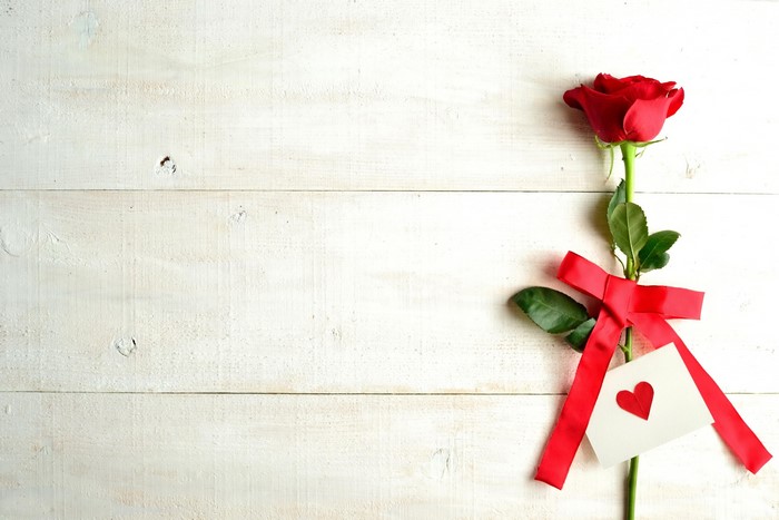 Red rose with a red bow and heart card