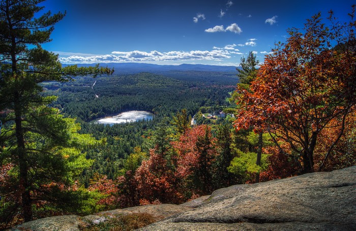 Scenic view of a lake and forest in North Conway, USA