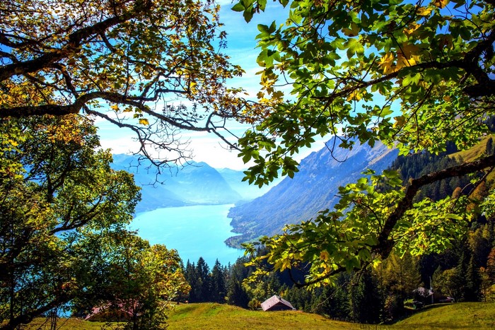 Lake Brienz with Mountains and Trees in Switzerland