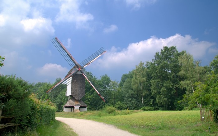 Windmill surrounded by trees under a cloudy sky