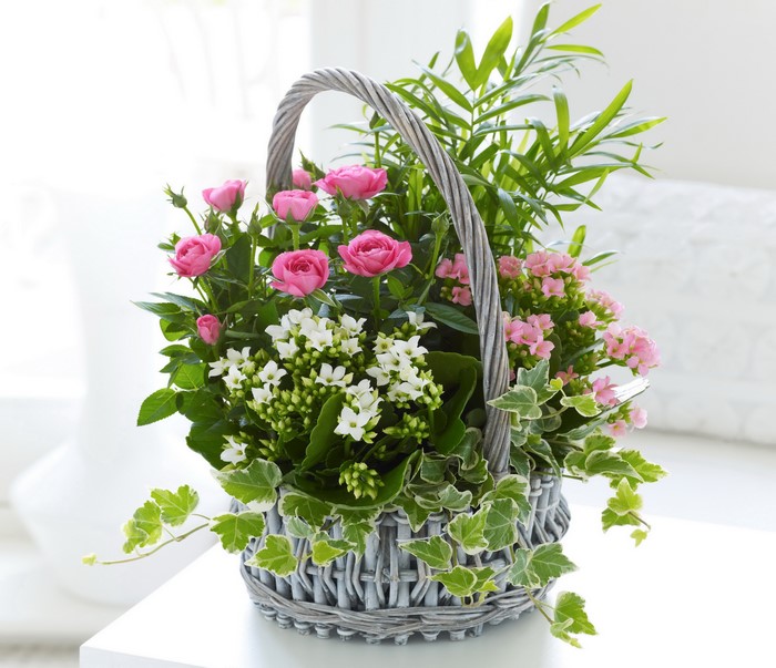 Pink roses and kalanchoe in a wicker basket
